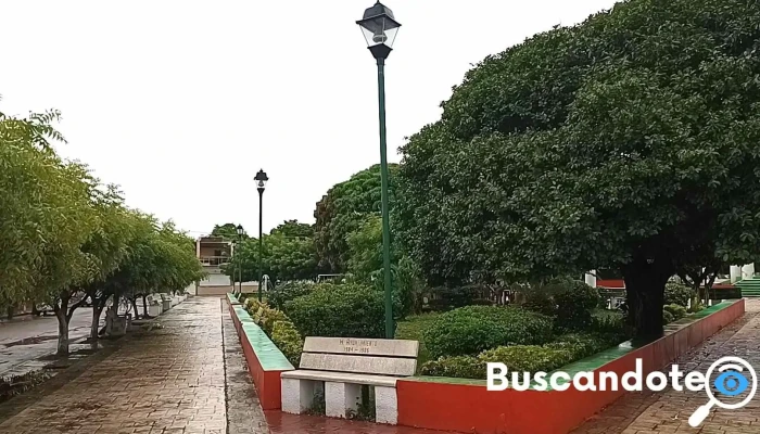 Reforma De Pineda -  Videos - Reforma de Pineda