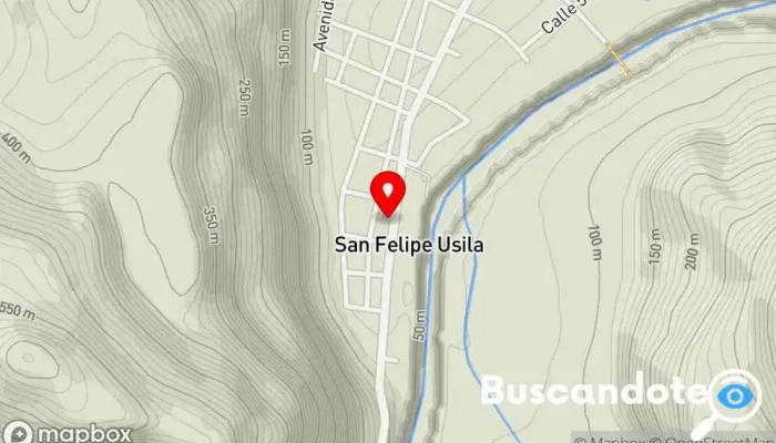 mapa de San Felipe Usila Clínica ambulatoria en San Felipe Usila