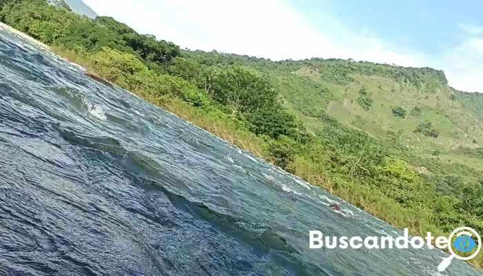 San Felipe Usila -  Videos - San Felipe Usila