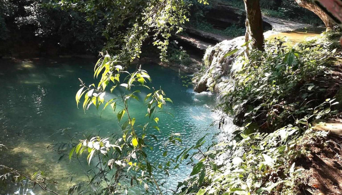Tandzumadz Centro, Huehuetlán ,San Luis Potosí - 79882 Tandzumadz