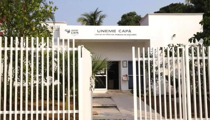 Uneme CAPA(Centro De Atención Primaria En Adicciones) - 40882 El Coacoyul